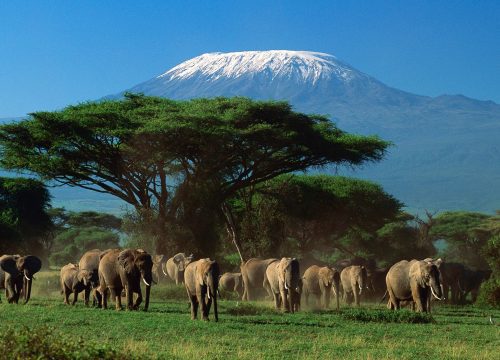 Kilimanjaro Tips for Success: Conquer Africa’s Highest Peak