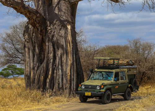 6 Days flying Safari - Selous Game Reserve and Ruaha National Park