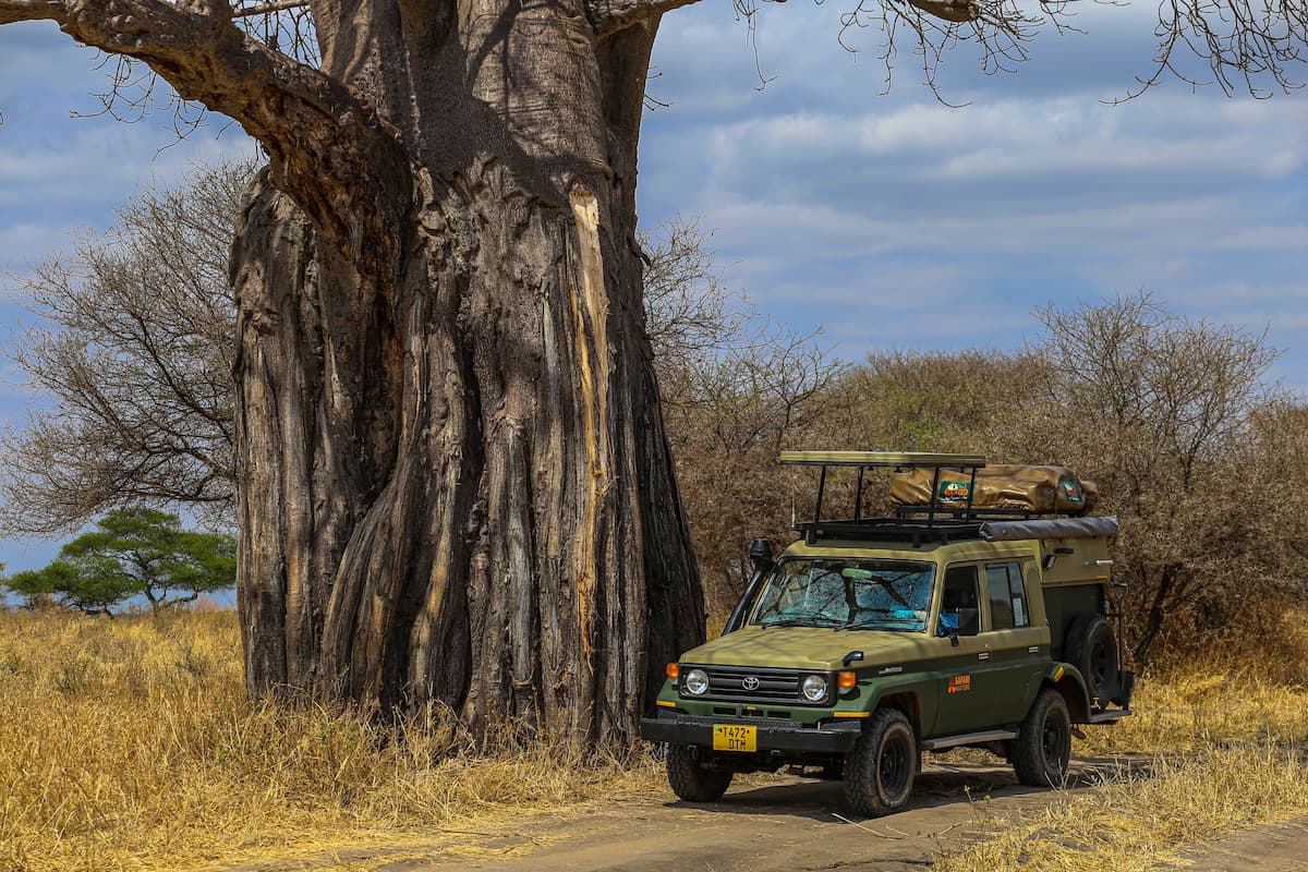 6 Days flying Safari - Selous Game Reserve and Ruaha National Park